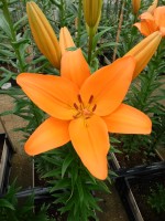 [5593 VH23 No02.JPG]